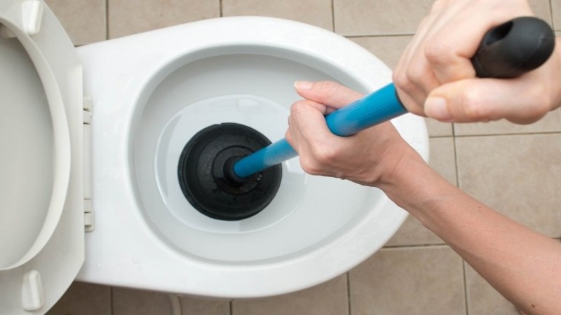 How To Unblock A Toilet