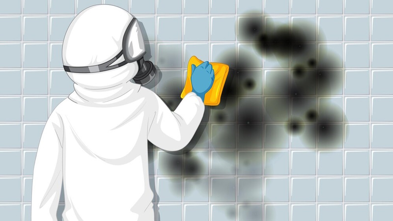 Best Way to Remove Mould from a Bathroom or Kitchen